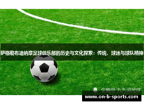 萨格勒布迪纳摩足球俱乐部的历史与文化探索：传统、球迷与球队精神