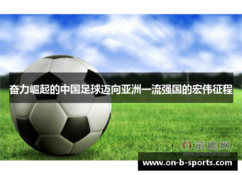 奋力崛起的中国足球迈向亚洲一流强国的宏伟征程